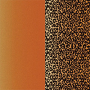 /0/b/0b33f918a8ae3b758abfffd09696559e31e4b86f_cricut_leopard.jpg