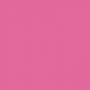 /0/e/0eeff0759ec201ff933a84e2fe4fdaebe022c9bf_vaessen_neon_pink.jpg