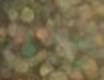 /1/1/1163d1fc01a4cfe1a2e1f8d62e18a5480a471a21_mod_podge_glitter_gold.jpg