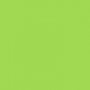/2/2/22baa478a302713bf1efc6fc195d4084379b9fa8_vaessen_neon_green.jpg