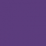 /4/6/460998c037439cd30947409b91244650ea7196dc_tulip_royal_purple.jpg