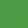 /4/f/4f16aabd5e0ddc5009faae56ad5a4feb8d94b73b_ranger_later_gator.jpg