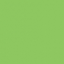 /5/5/5567f34b4360217753a125ff425c014bc89d93f9_vaessen_light_green.jpg
