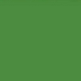 /6/e/6e6fdf3a14b13a431fa00ae5142e056d425cd793_ranger_green_jean.jpg