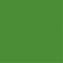 /8/5/85247df86a2defac1bc456ee8b92ca28291b3637_loklik_matte_apple_green.jpg