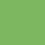 /9/8/98eed49c98fbe321f3d9b4cfa2f6e6194c4544b6_ranger_green_neon.jpg