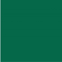 /a/2/a2ae0aac7becdc1ca7fee7350927711ef2c5a87b_loklik_matte_green.jpg