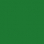 /a/c/ac359d3238737bd7e40a28da02608525a24fc314_foam_dark_green.jpg