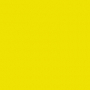 /a/d/ad410c3b168d5a117de9c4e390e5caec70c8b108_vaessen_yellow.jpg