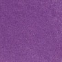/b/d/bde74223de59cfe3672b8eeae7a2c371ce9dbf29_tulip_purple.jpg