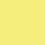 /b/e/be63a6e90f4c774c235aa93b92694573d5a8d69e_ranger_yellow_neon.jpg