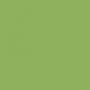 /d/d/dd6ab500e5ec3707bde7d07b1503632692bbcf31_american_crafts_kiwi.jpg