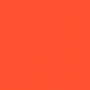 /e/e/ee3294e6e2d60789f4b6193a8c1479921b399289_tulip_orange.jpg