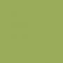 /e/e/ee54af3c77e8485897529a53c1d0c37e5fc7e36c_ranger_fresh_lime.jpg