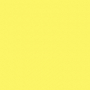 /f/7/f71f61233b5d603f22637fe357875f616a880b4b_vaessen_neon_yellow.jpg