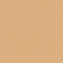 /f/f/ff17ca2a8d974ff14e98083018eca41894a9a45f_ranger_desert_sand.jpg