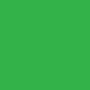 /r/a/ranger_dart_frog.jpg