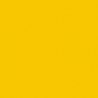 /r/a/ranger_sunshine_yellow.jpg