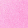 /t/u/tulip_neon_pink.jpg
