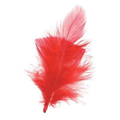 Darice • Feathers 14g Red