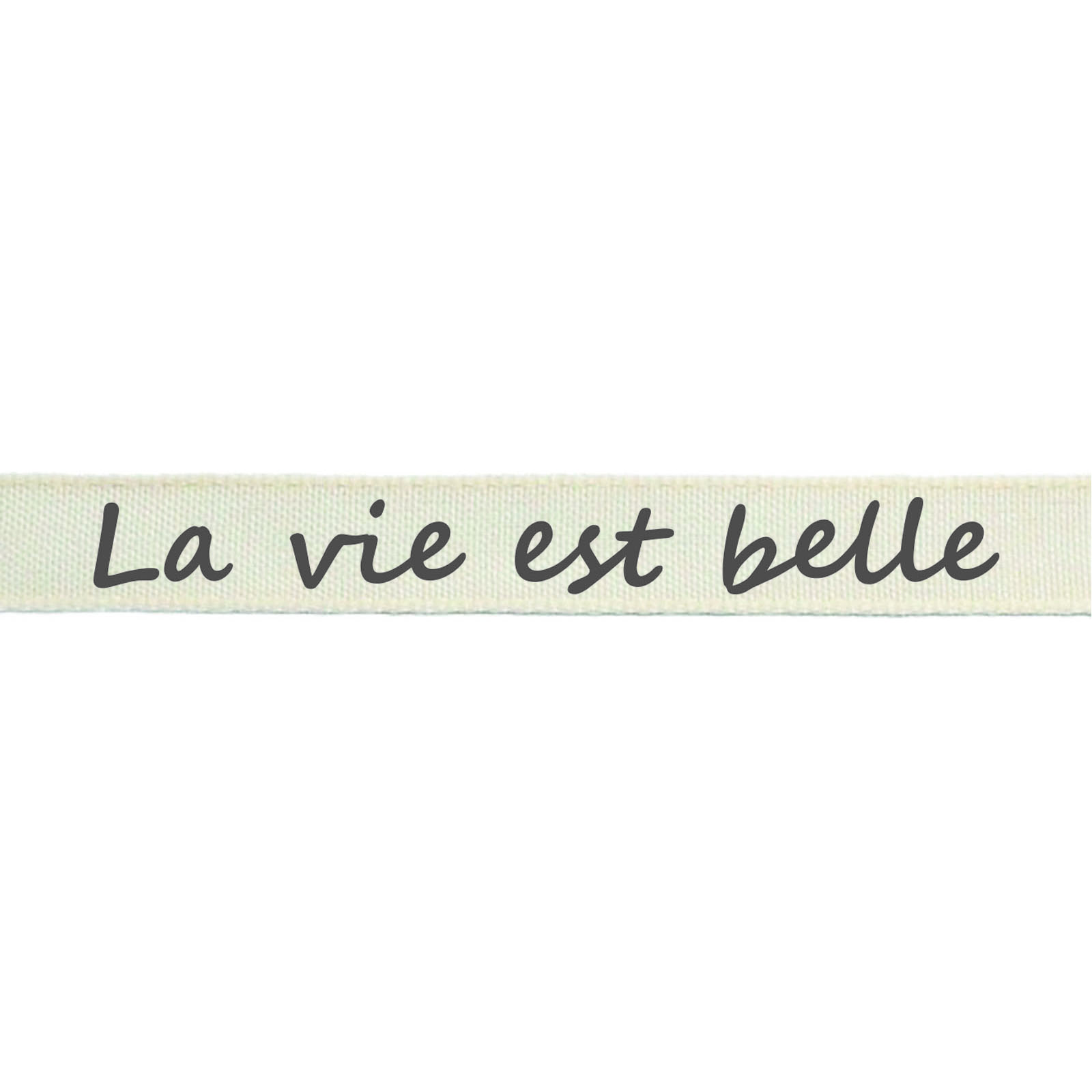 Vaessen Creative • Ribbon 2mx15mm FR La Vie Est Belle