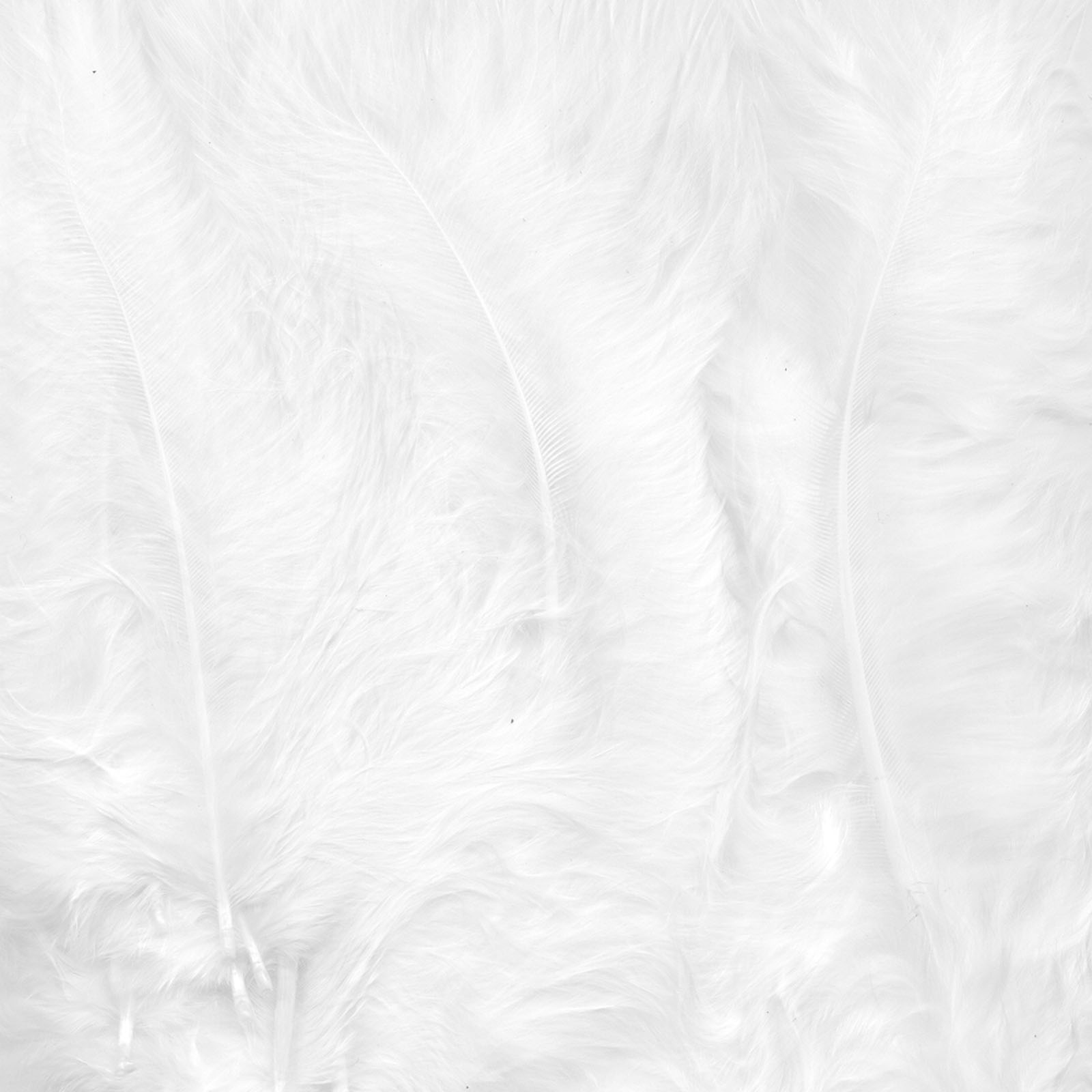 Vaessen Creative • Marabou feathers 8,5-12,5cm 15pcs white