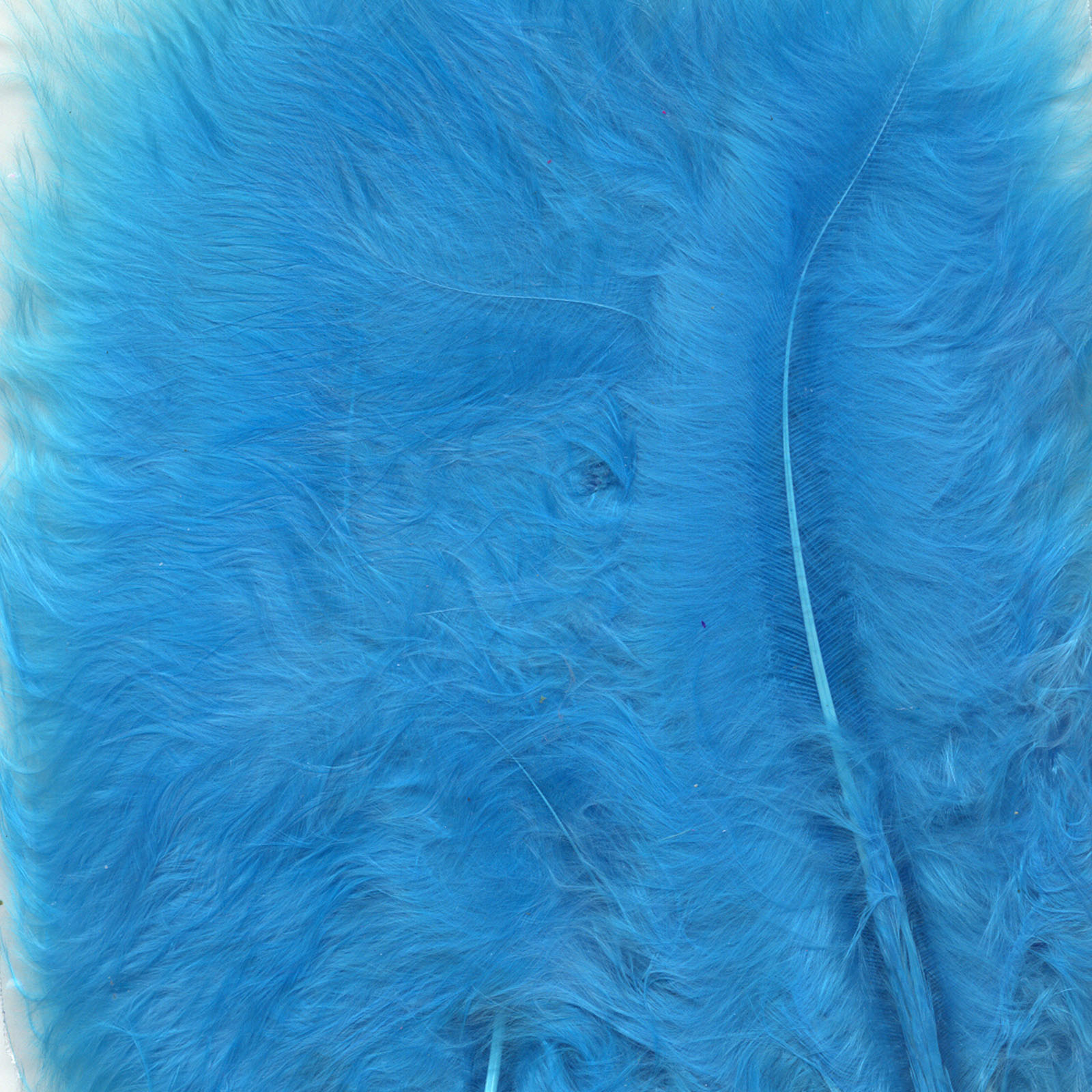 Vaessen Creative • Marabou feathers 8,5-12,5cm 15pcs turquoise