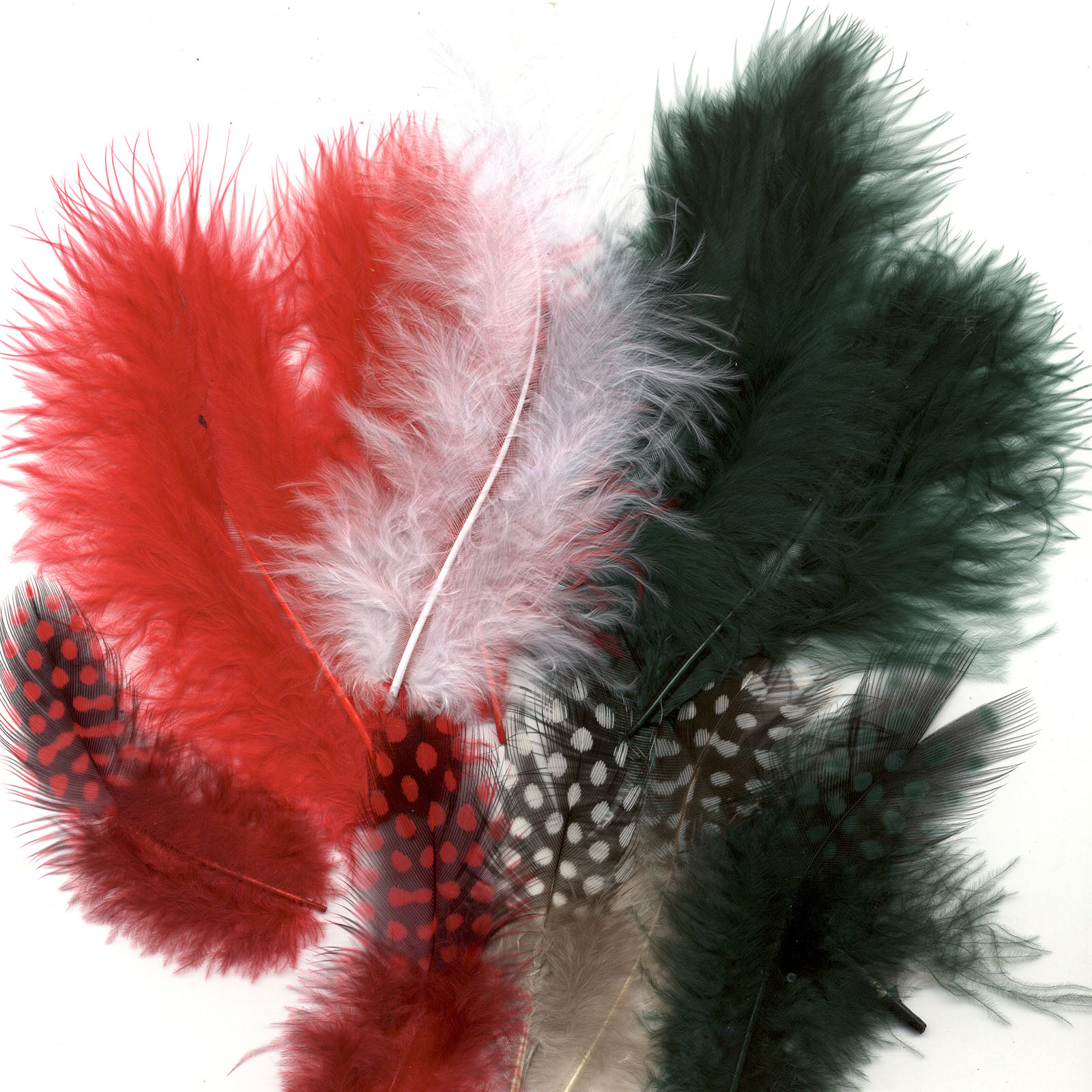 Vaessen Creative • Marabou feathers & guinea fowl 5-13cm 18pcs christmas