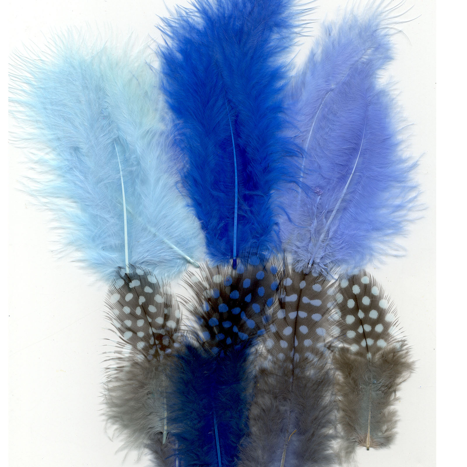 Vaessen Creative • Marabou feathers & guinea fowl 5-13cm 18pcs boy