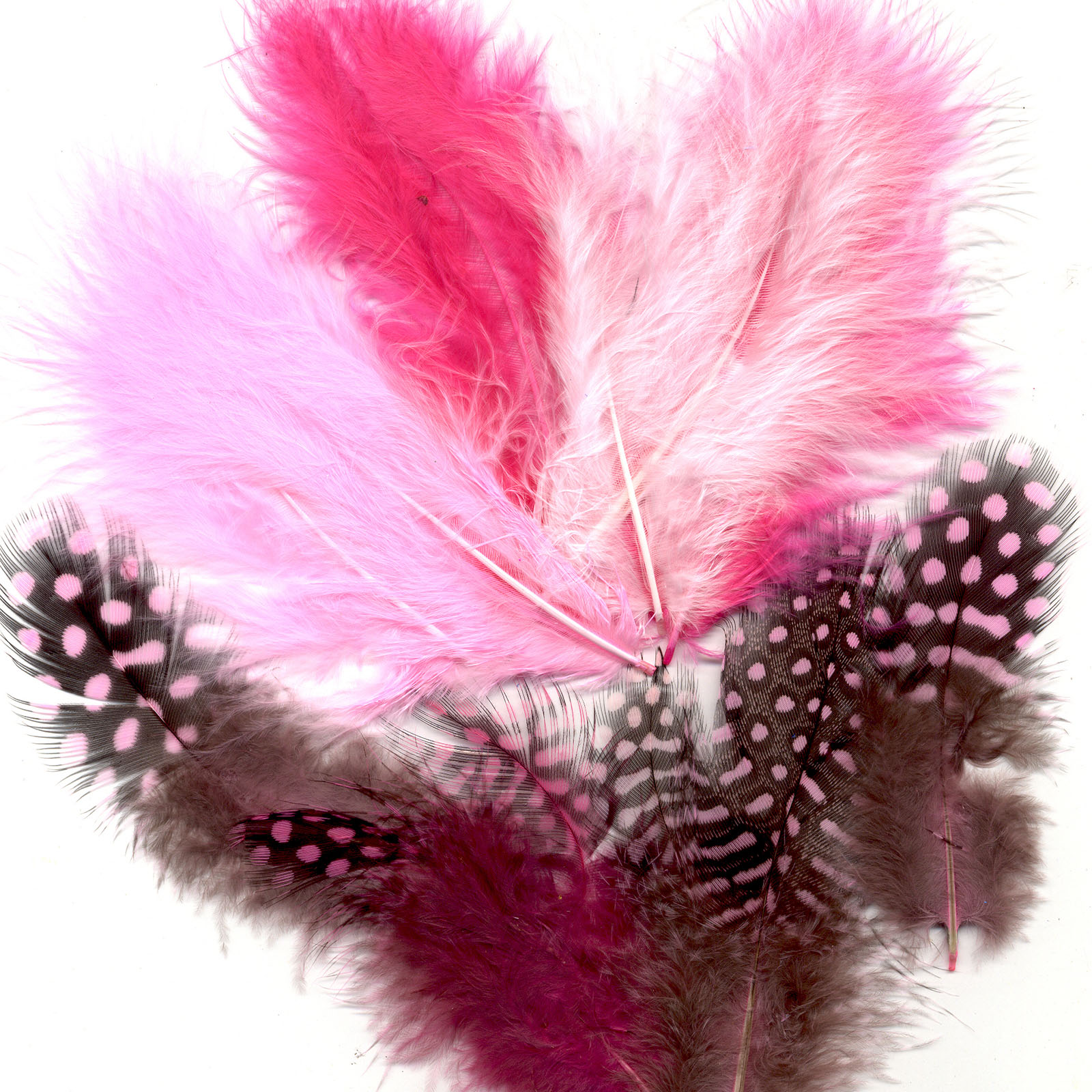 Vaessen Creative • Marabou feathers & guinea fowl 5-13cm 18pcs girl