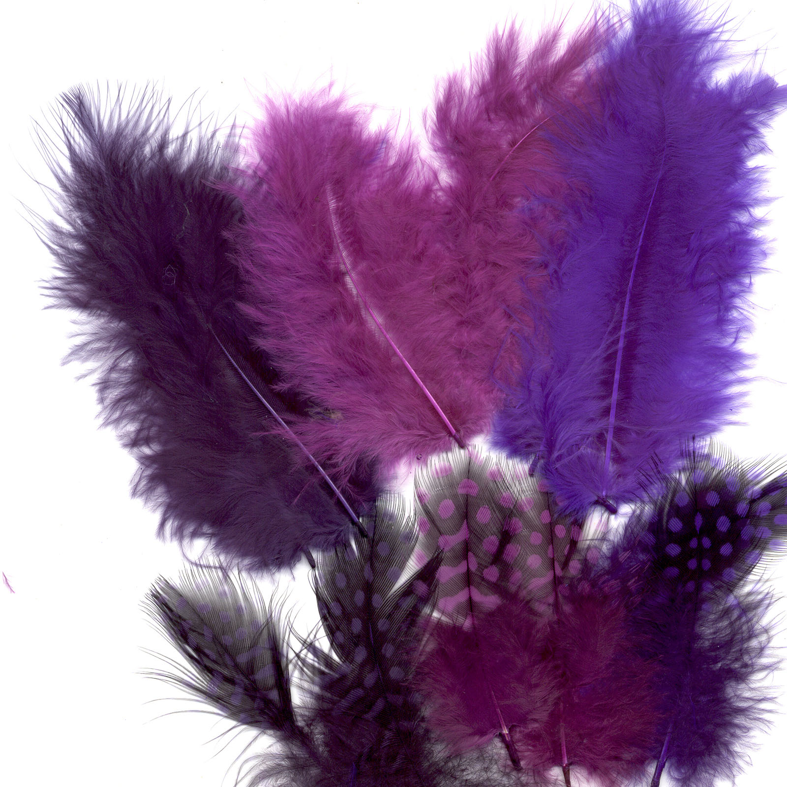 Vaessen Creative • Marabou feathers & guinea fowl 5-13cm 18pcs magic