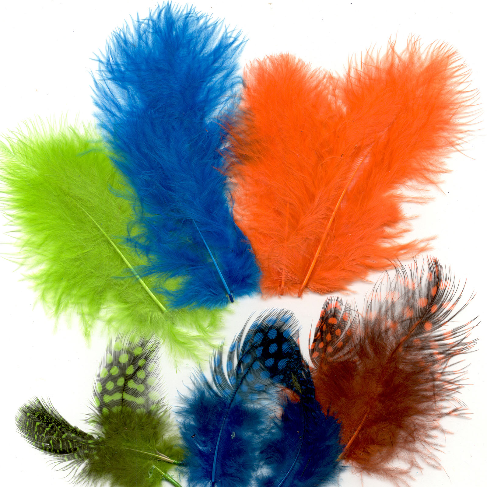 Vaessen Creative • Marabou feathers & guinea fowl 5-13cm 18pcs neon