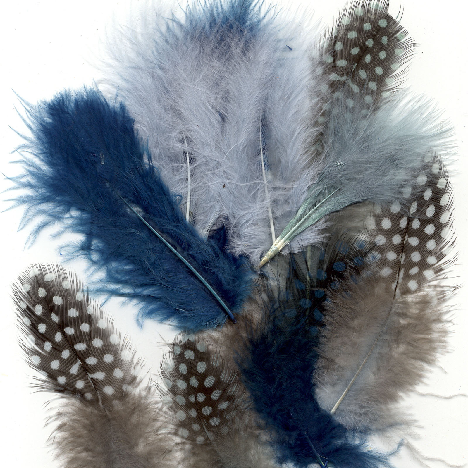 Vaessen Creative • Marabou feathers & guinea fowl 5-13cm 18pcs ocean