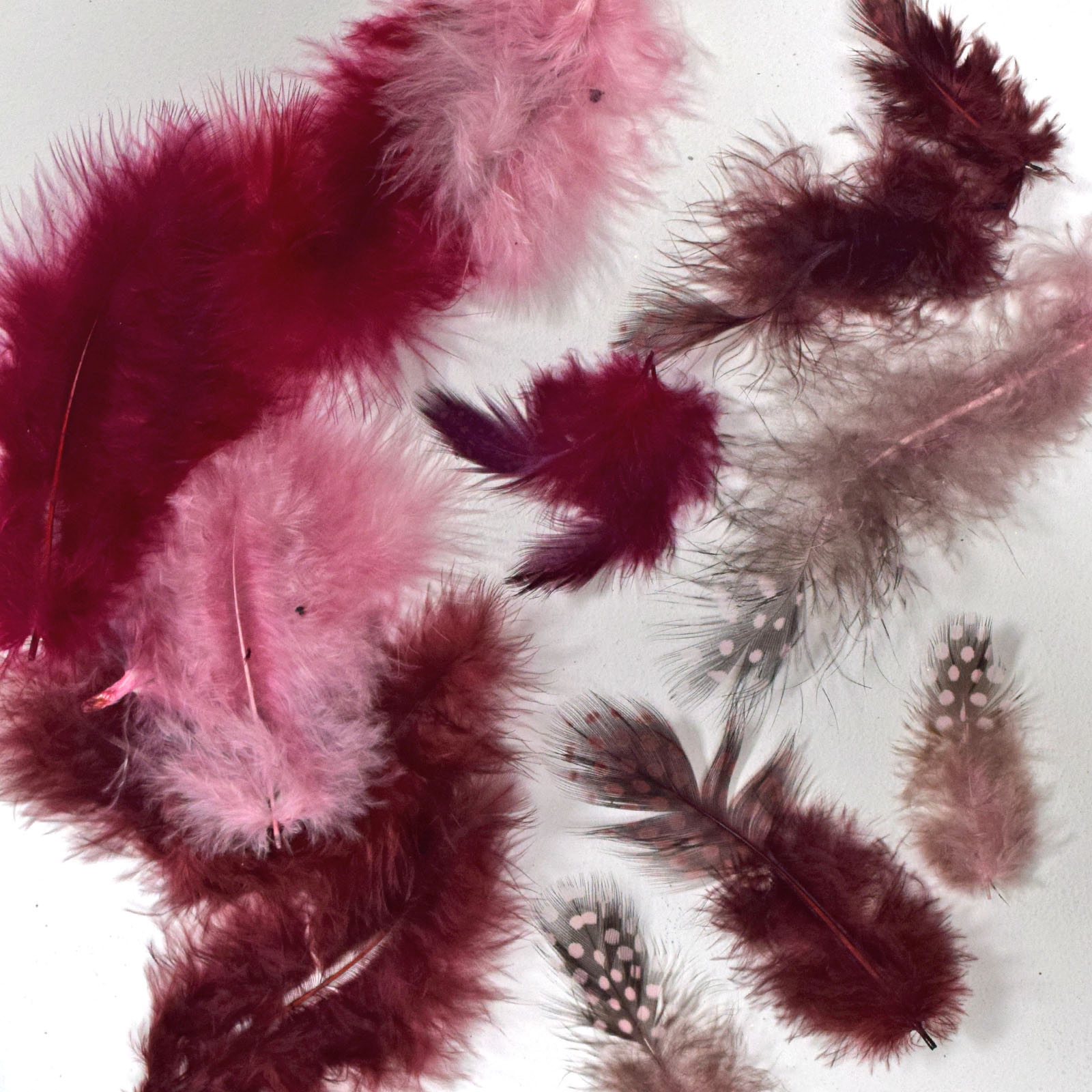 Vaessen Creative • Marabou feathers & guinea fowl 5-13cm 18pcs wine