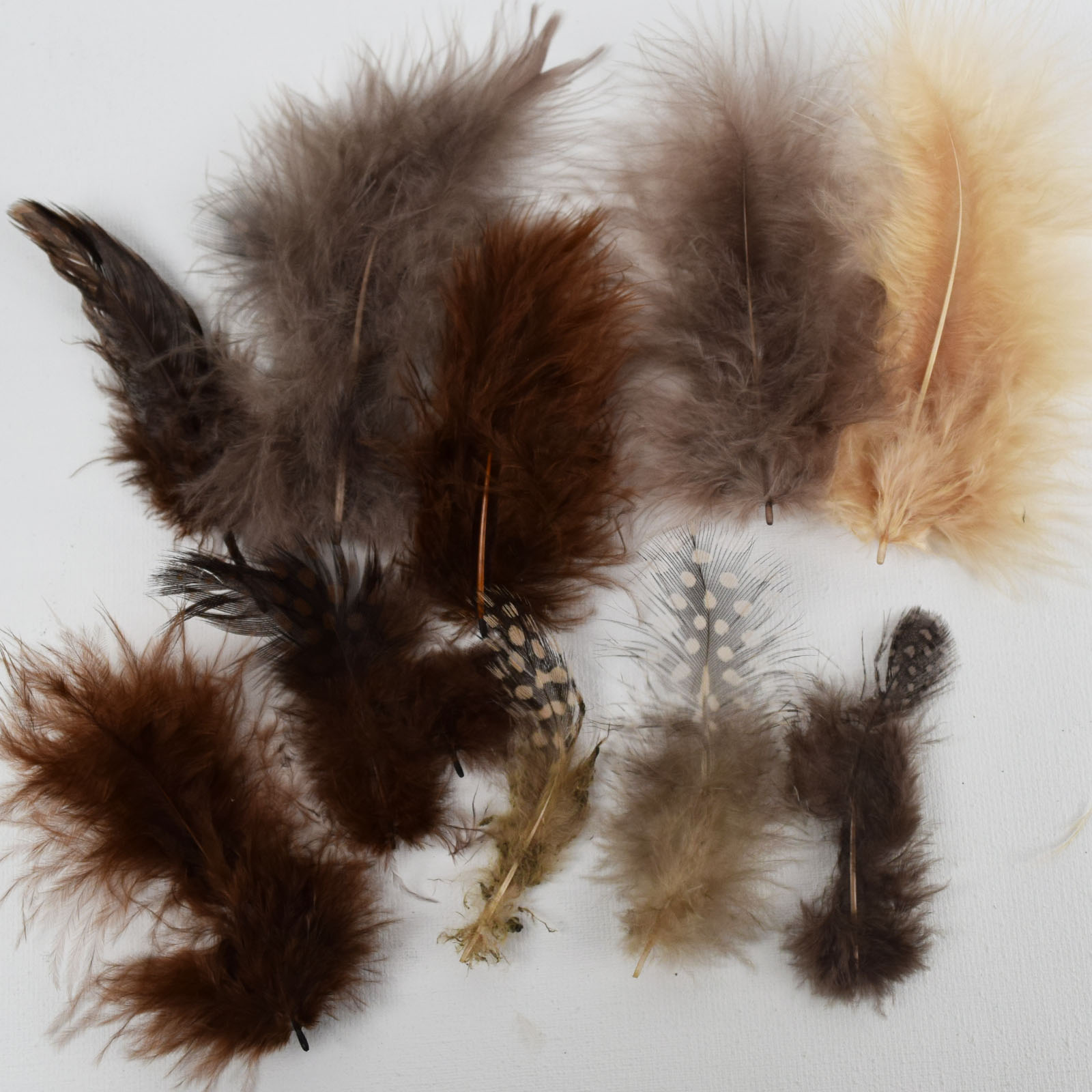 Vaessen Creative • Marabou feathers & guinea fowl 5-13cm 18pcs earth