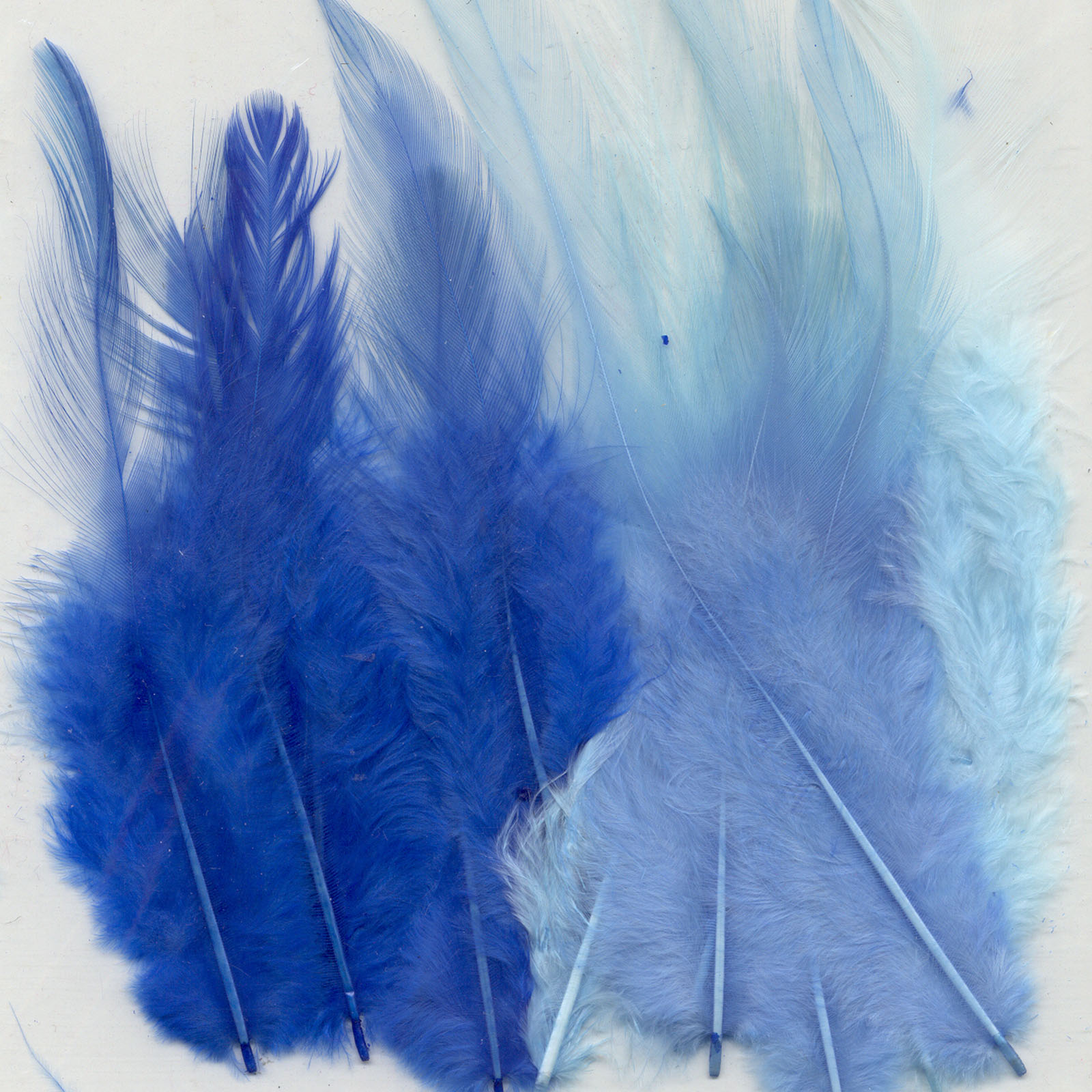 Vaessen Creative • Feathers 8,5-15cm 15pcs blue