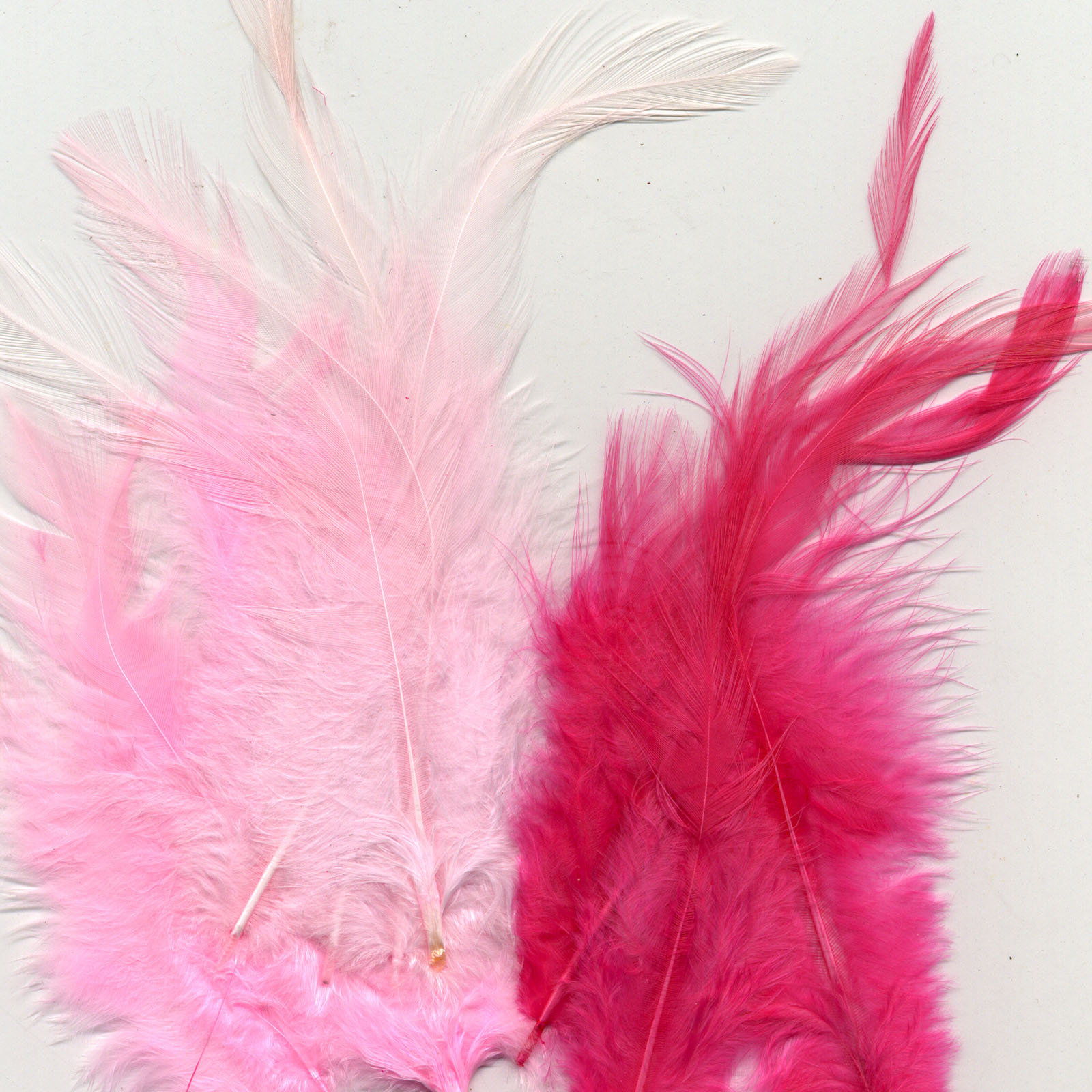 Vaessen Creative • Feathers 8,5-15cm 15pcs pink