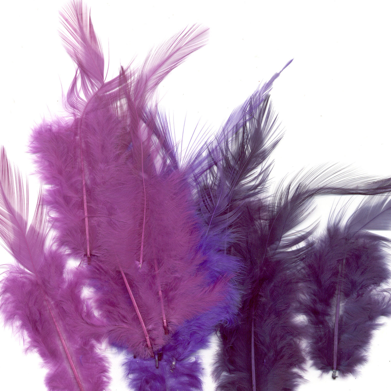 Vaessen Creative • Feathers 8,5-15cm 15pcs purple