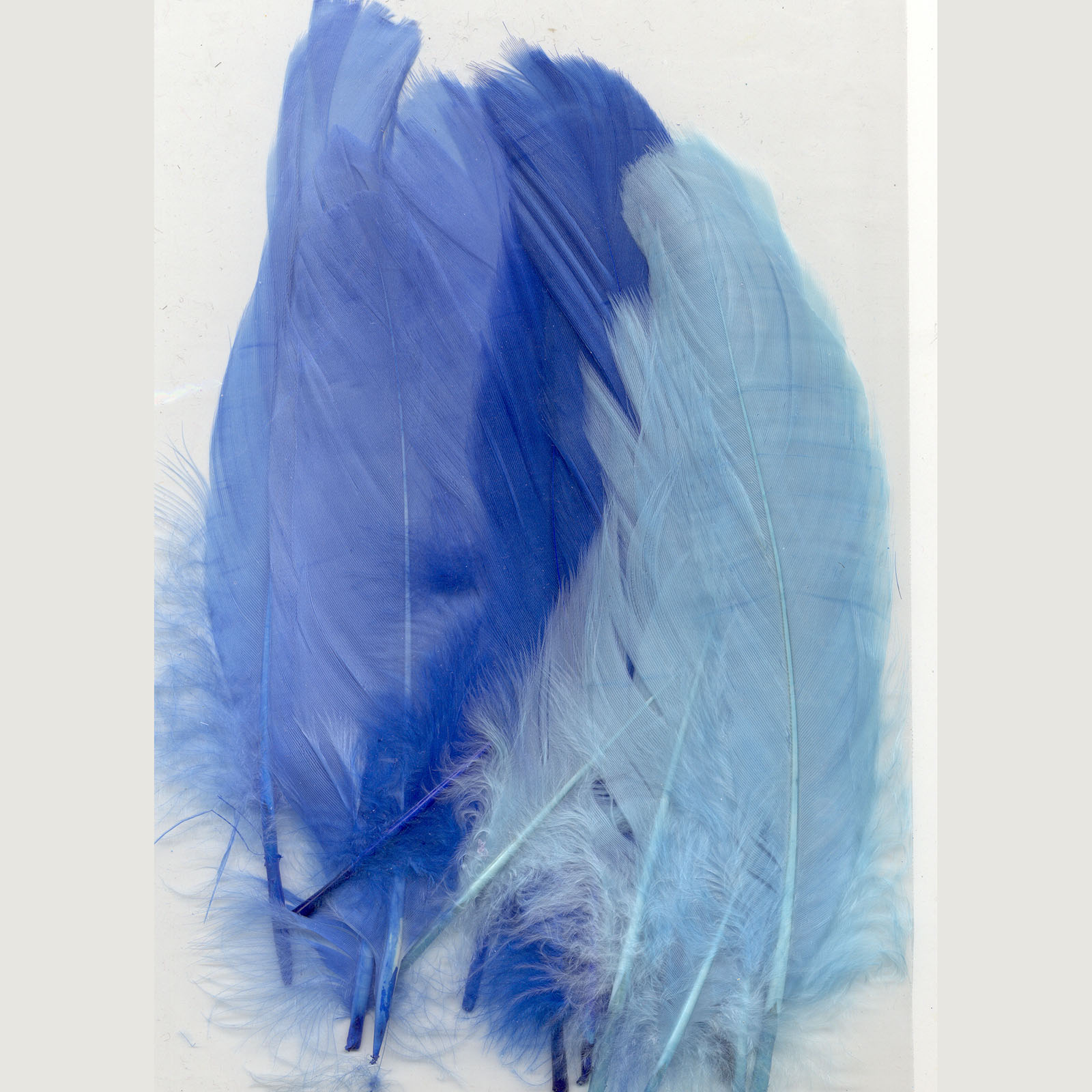 Vaessen Creative • Feathers long 15,5-20cm 15pcs blue