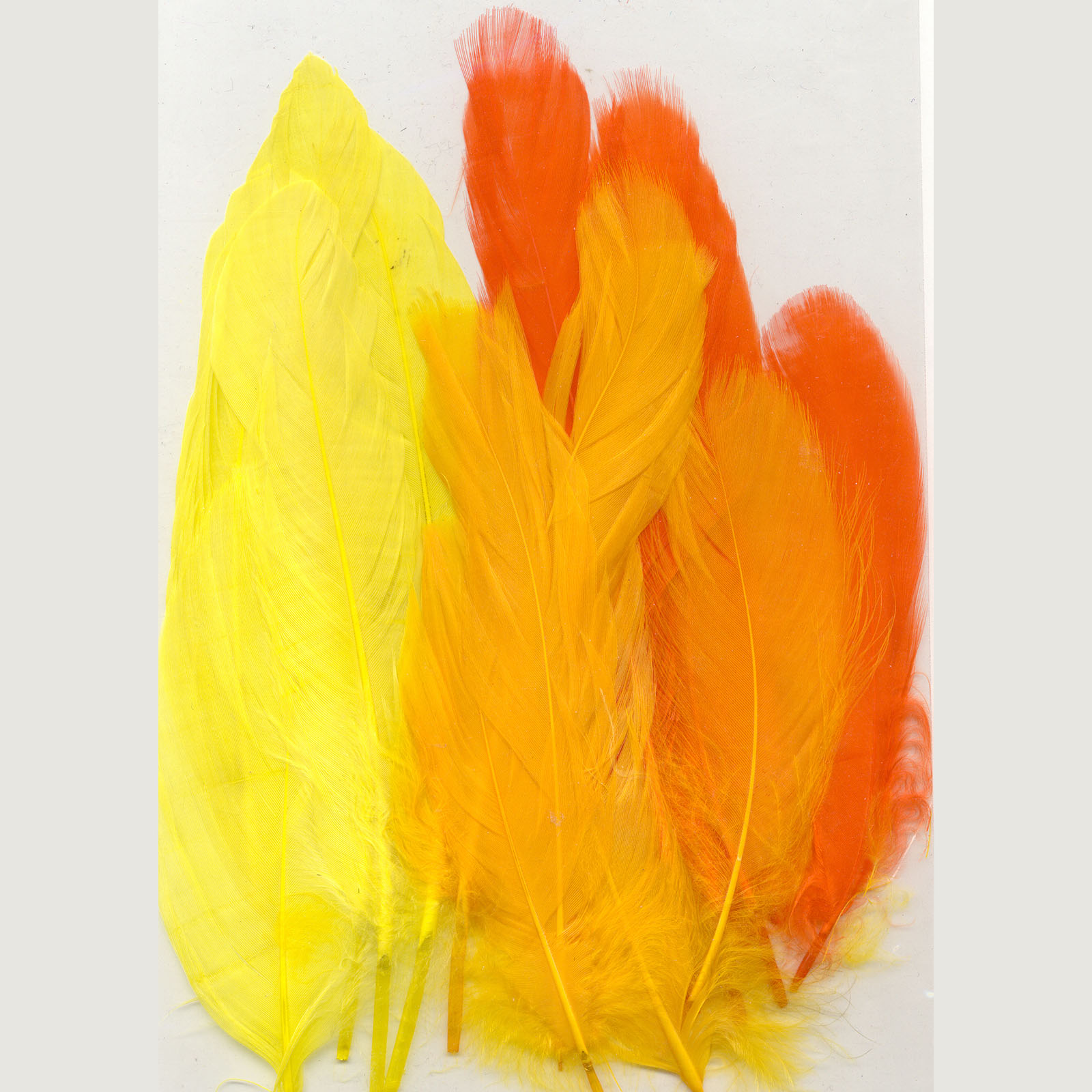 Vaessen Creative • Feathers long 15,5-20cm 15pcs easter