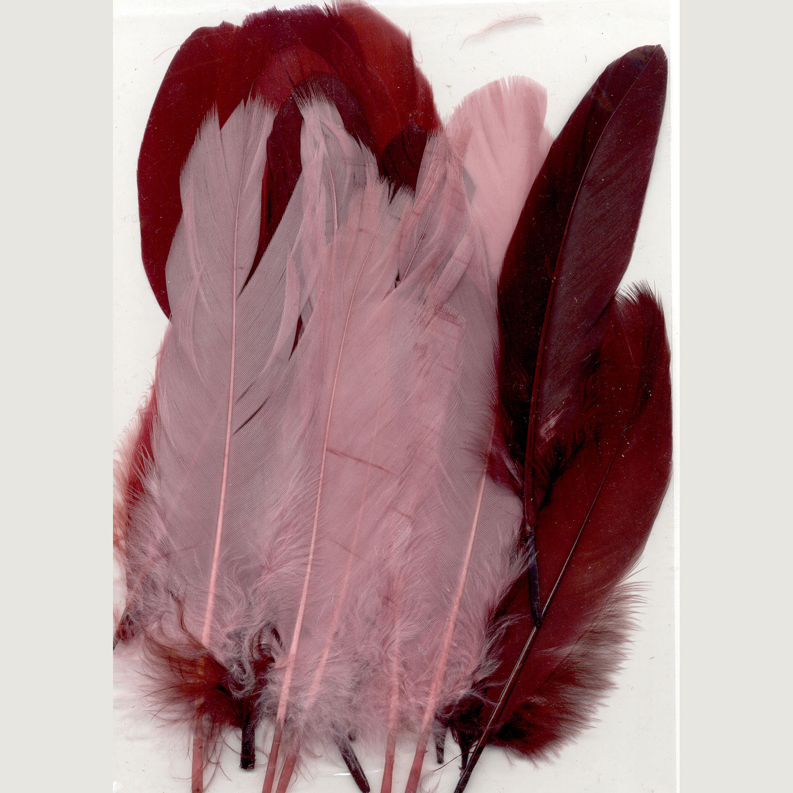 Vaessen Creative • Feathers long 15,5-20cm 15pcs wine