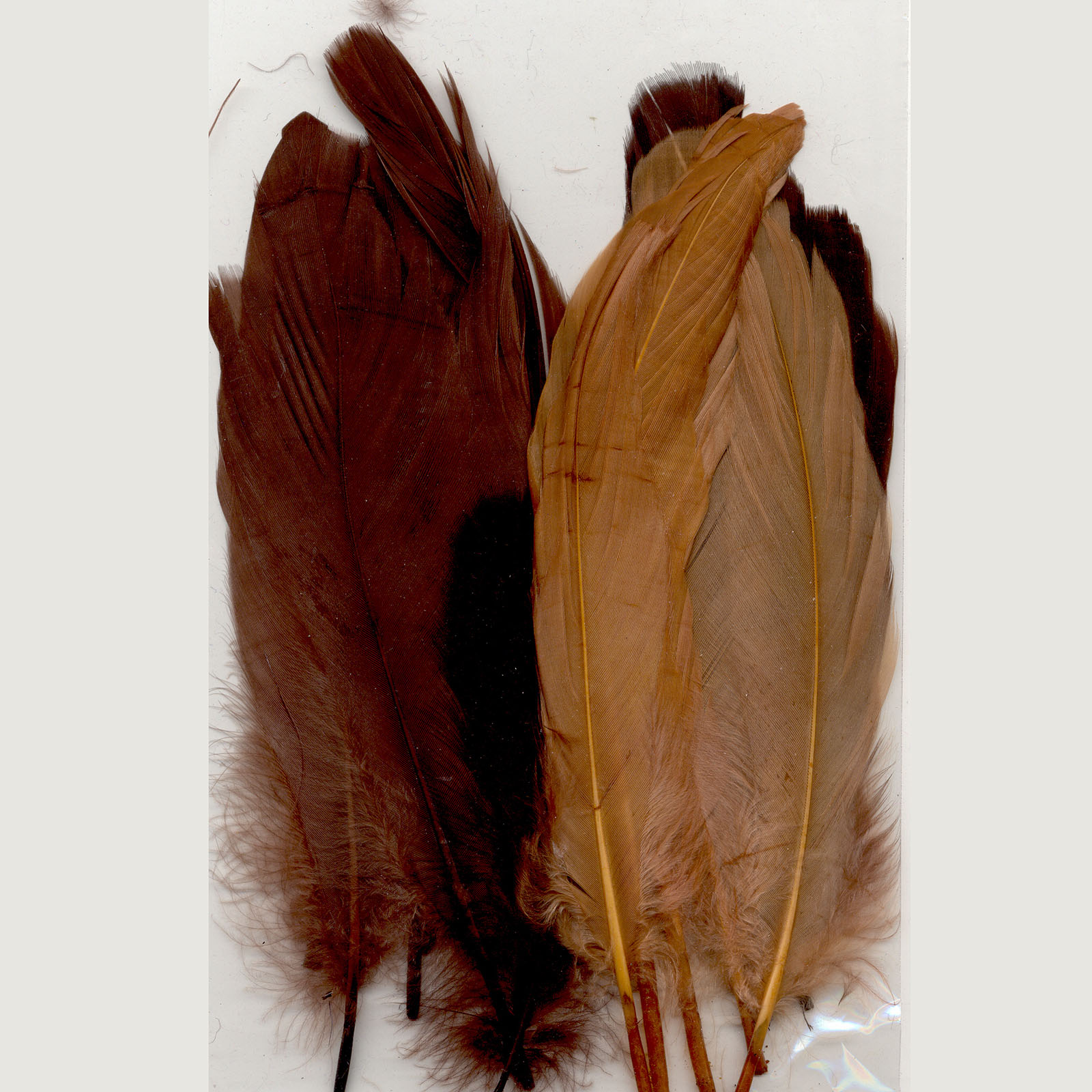 Vaessen Creative • Feathers long 15,5-20cm 15pcs earth