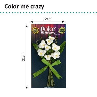 Petaloo • Color me crazy bouquets pansies x8