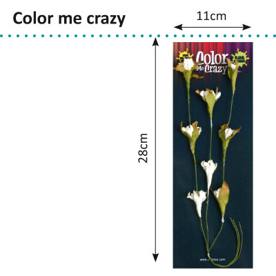 Petaloo • Color me crazy flowering vine spray