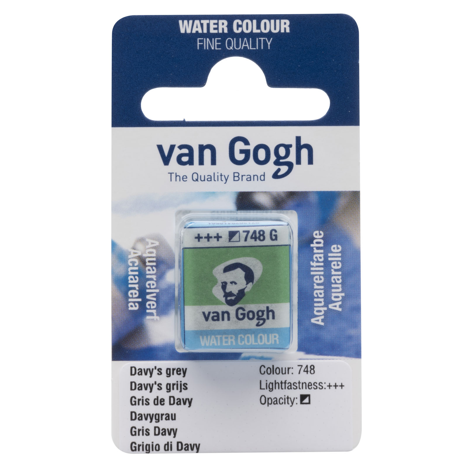 Van Gogh • Painture d'aquarelle pan Davy'S Grijs 748