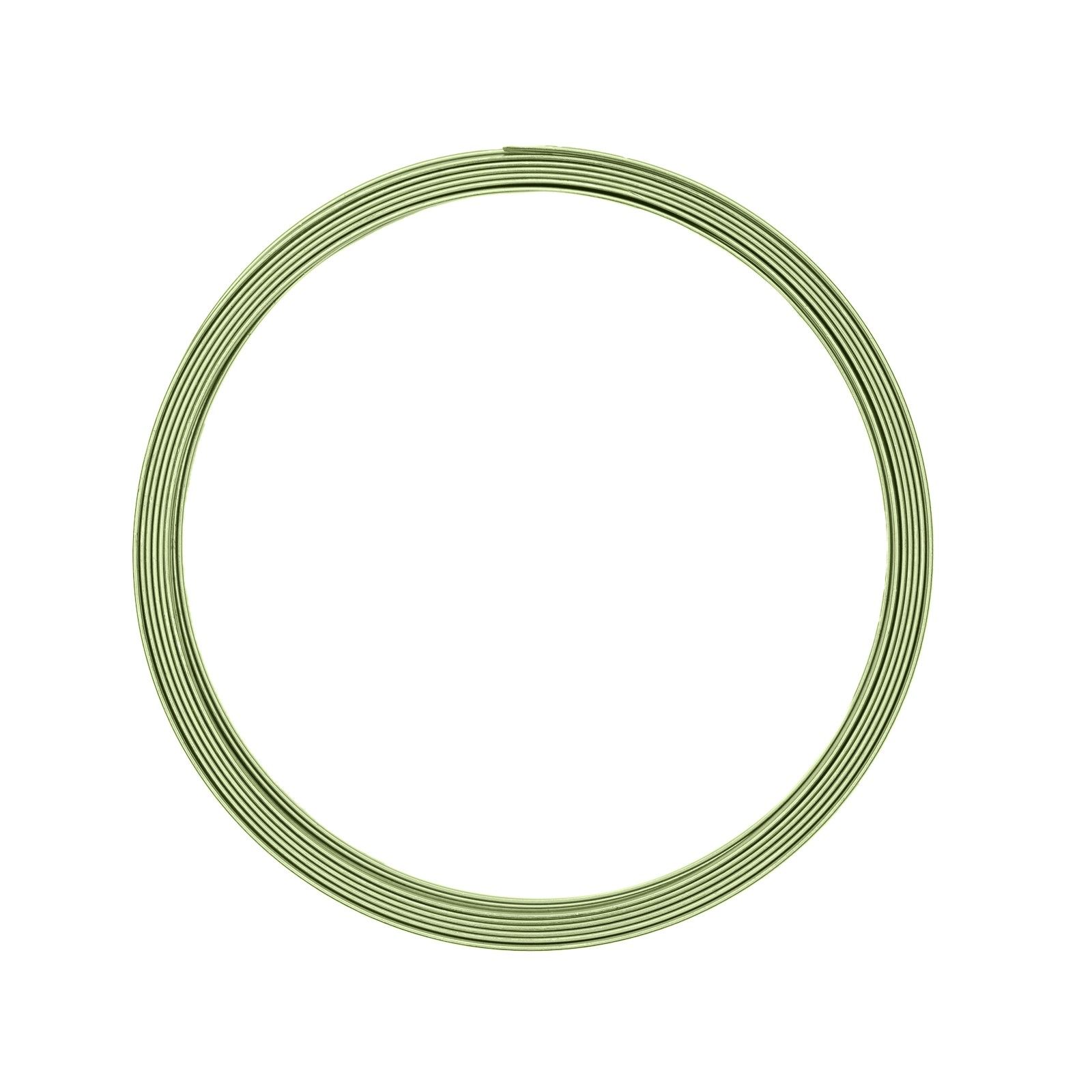 Vaessen Creative • Aluminium wire flat 5mm 5m Apple green