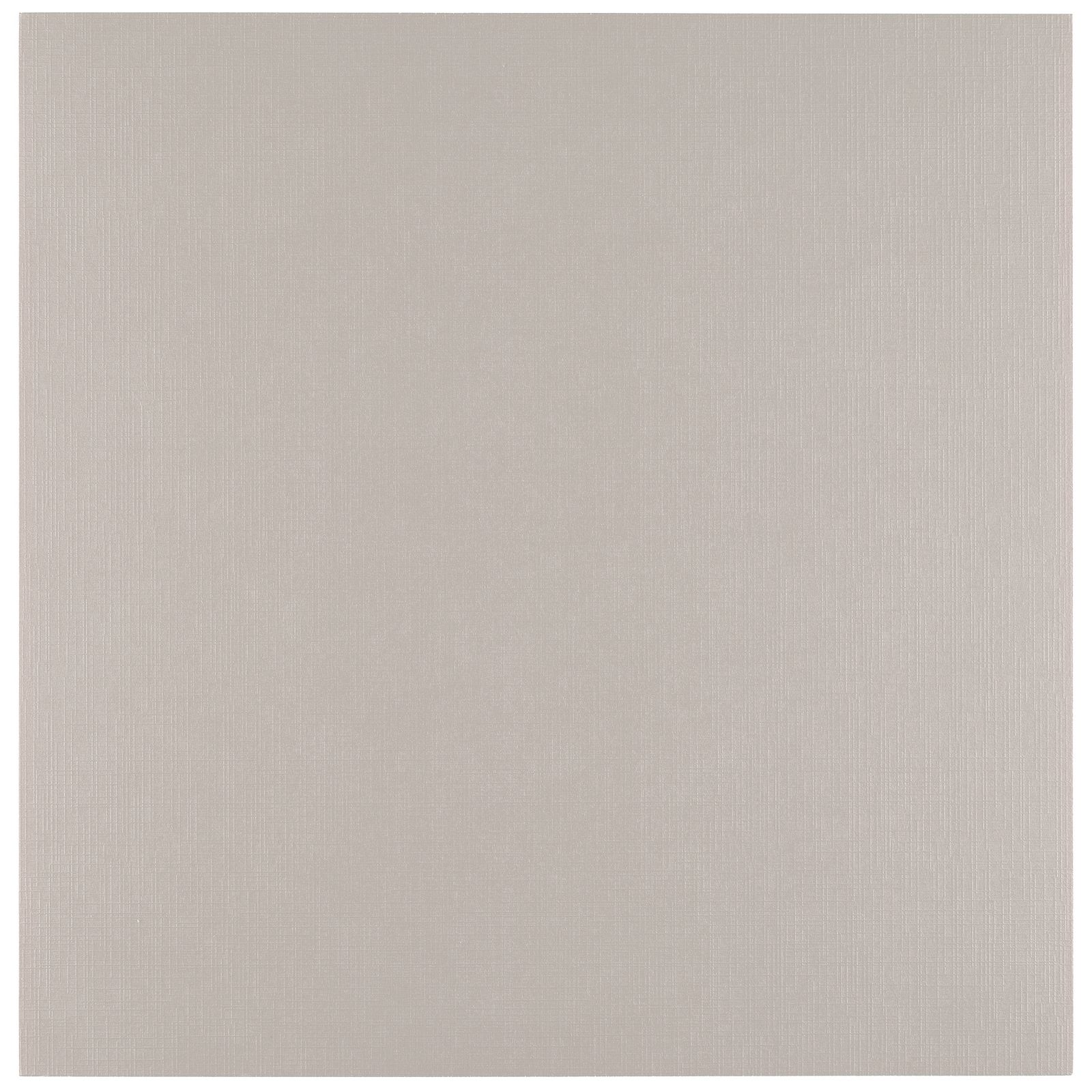 Vaessen Creative • Cartoncino di Lino 250g 30,5x30,5cm Rhino 25x