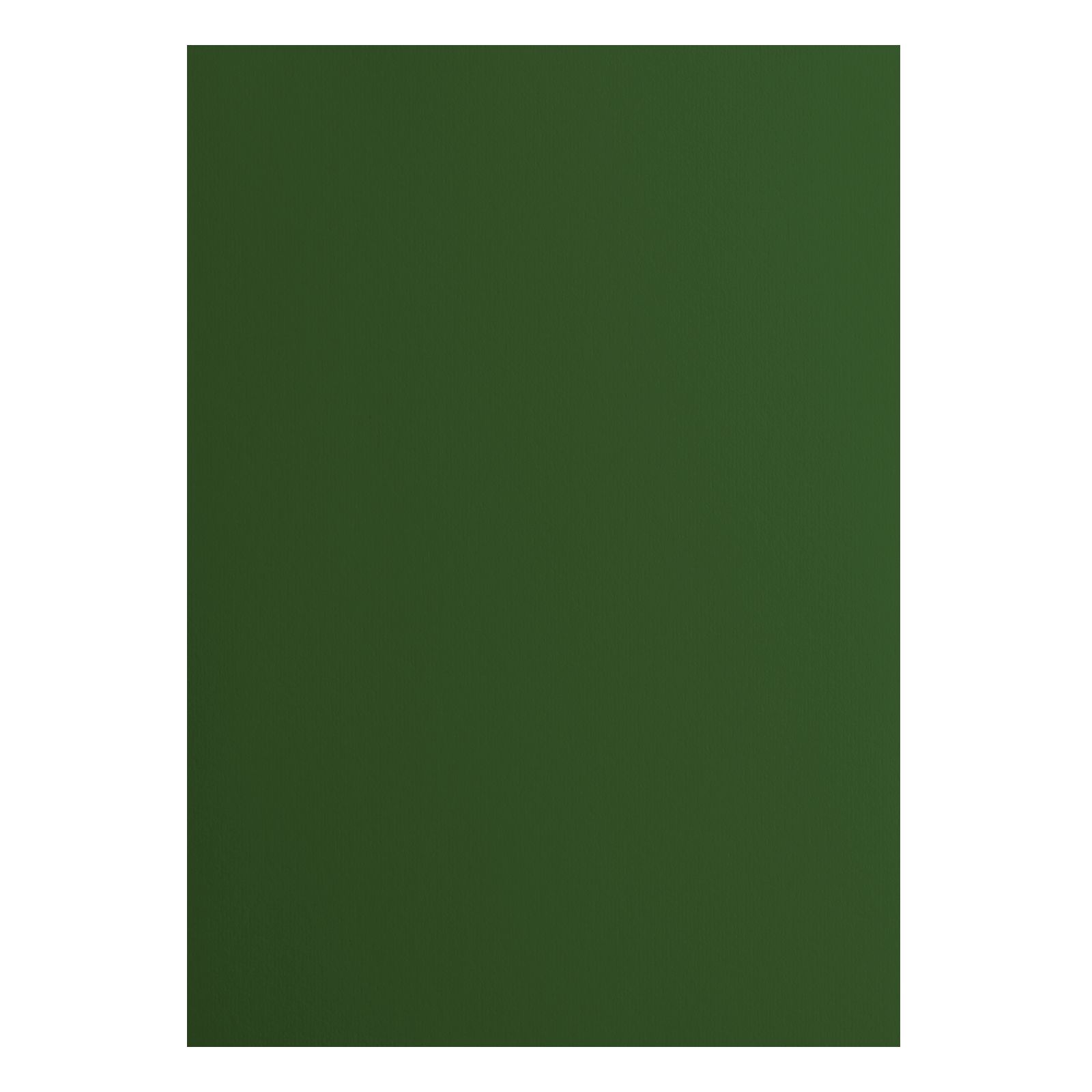 Vaessen Creative • Papier Cartonné 216g Lisse A4 Pine 25x