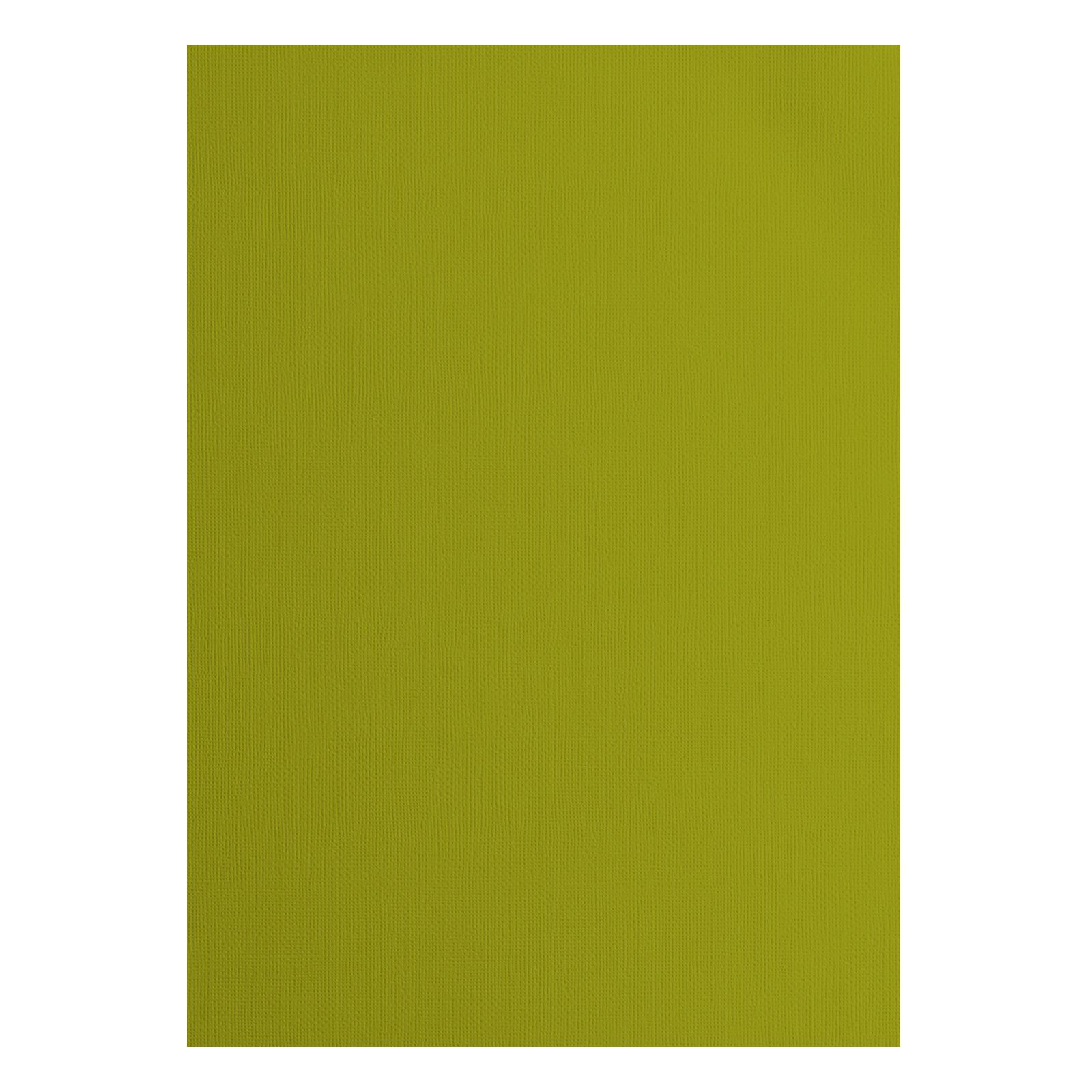 Vaessen Creative • Papier Cartonné 216g Texturé A4 Fern 25x