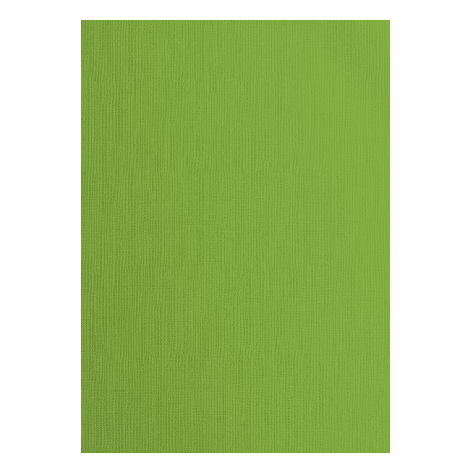Vaessen Creative • Papier Cartonné 216g Texturé A4 Frog 25x